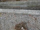 image of grave number 931372